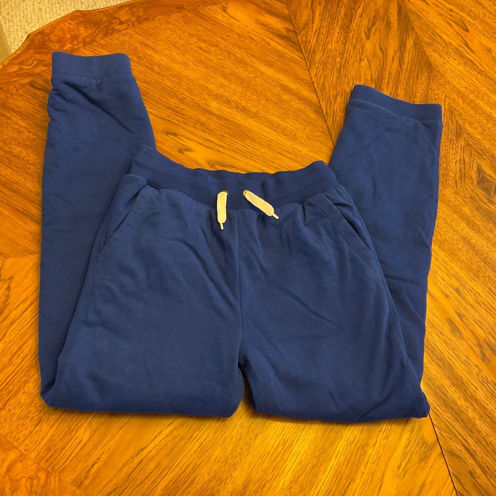 GAP kids - blue lined sweatpants